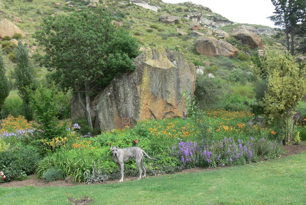 Aspen Guest House Clarens Eksteriør billede