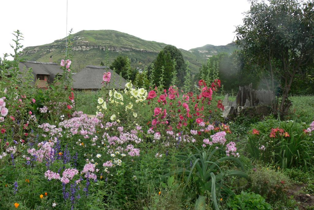 Aspen Guest House Clarens Eksteriør billede