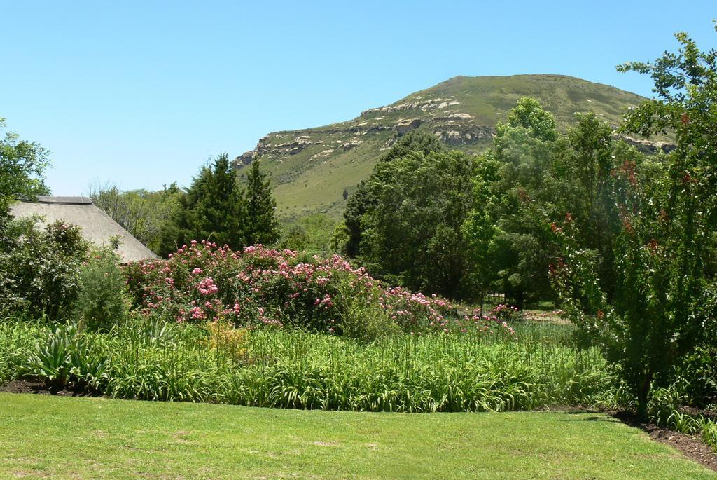 Aspen Guest House Clarens Eksteriør billede